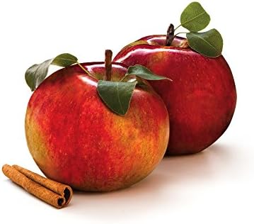 Glade Scented Paint Additive, Apple Cinnamon House, 1 oz, PAAC