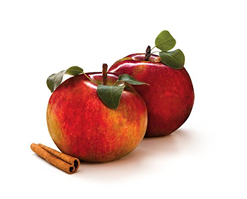 Glade Scented Air Filter Spray, Apple Cinnamon, 2 oz, FSAC