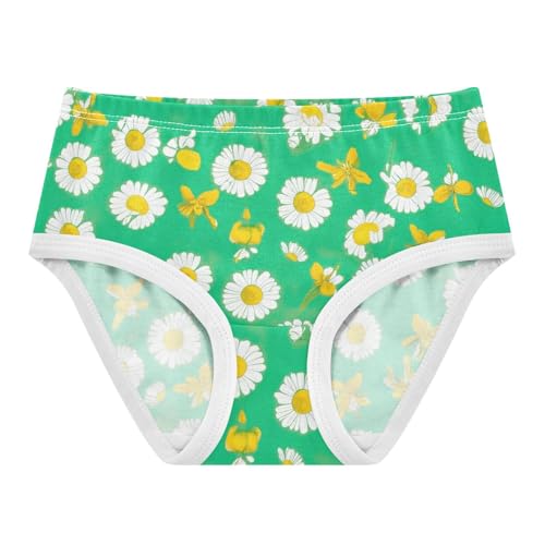 White Flowers Daisies Green Little Girl Panties Toddler Girls Underwear Cotton Print Kids Undies Briefs 2t