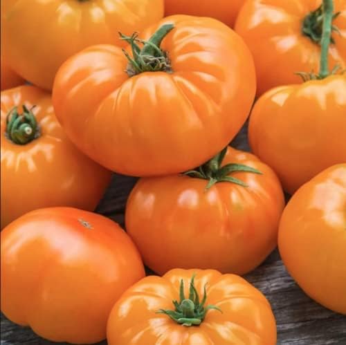 Miniatura 2 de Amana Semillas de tomate herencia de bistec naranja para plantar, más de 50 semillas tradicionales por paquete, semillas sin OMG, (semillas de