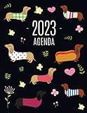  Bassotto Agenda 2023: Agenda di 12 Mesi con Calendario 2023  Pianificatore Giornaliera con un Cane