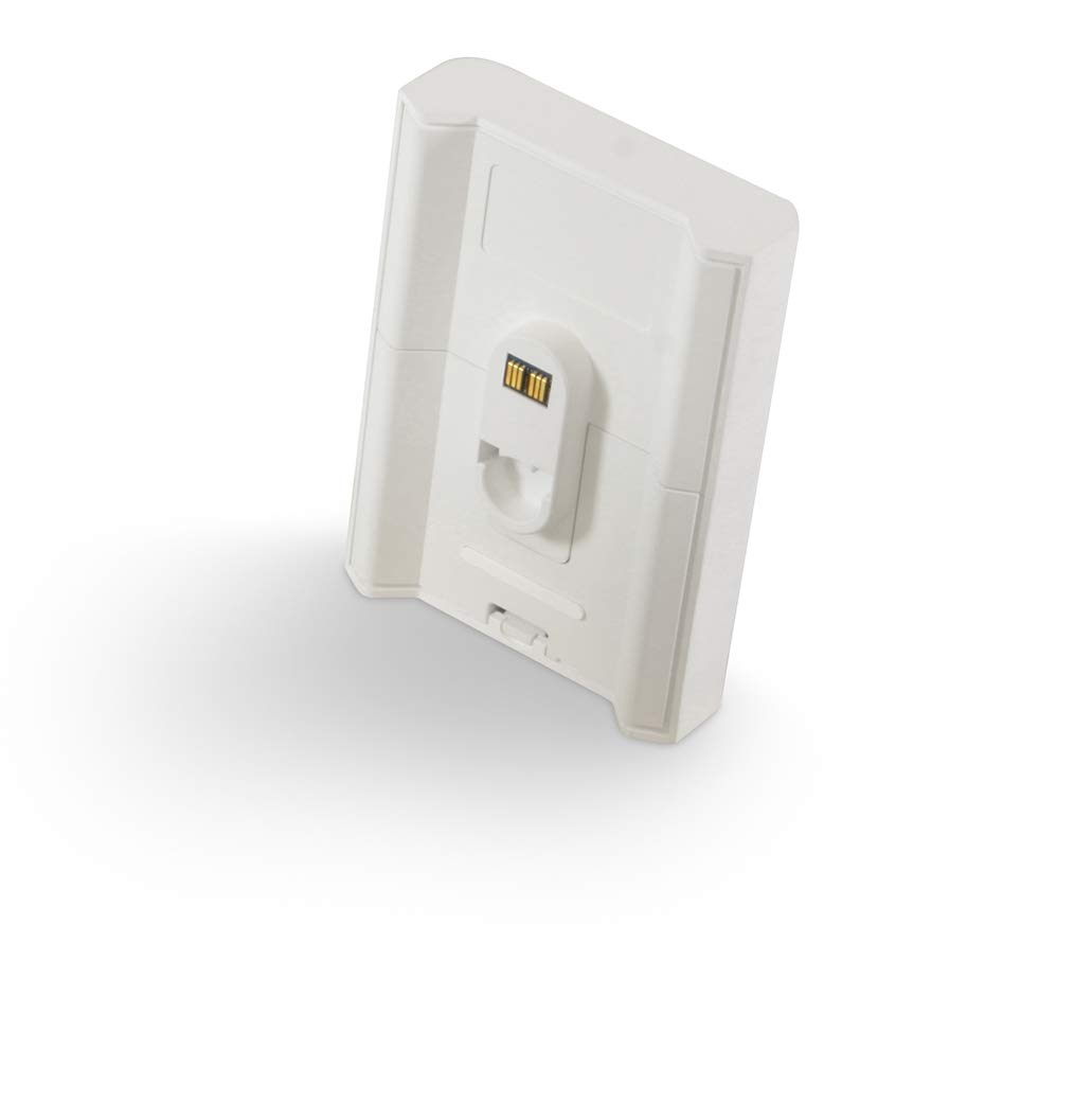 Bluesound Flex 2i + BP 100 Battery Pack (Set) (Blanco)