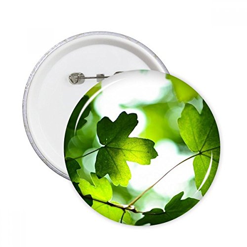 Badge bouton rond feuille plante motif nature multicolore S décoration vêtement DIYthinker