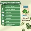Herblink 8-Pod Spinach Seed Pod Kit for Aerogarden, Includes Spinach Seeds - Universal Hydroponic Pods Indoor Gardening Supplies (8-Pod) #5