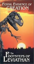 Fossil Evidence of Creation