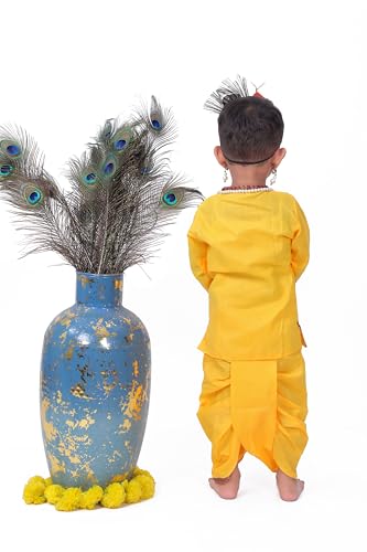 Image of Raj Fancy Dresses Radha and Krishna Brocade Fabric Janmashtami Mythological Character Costume