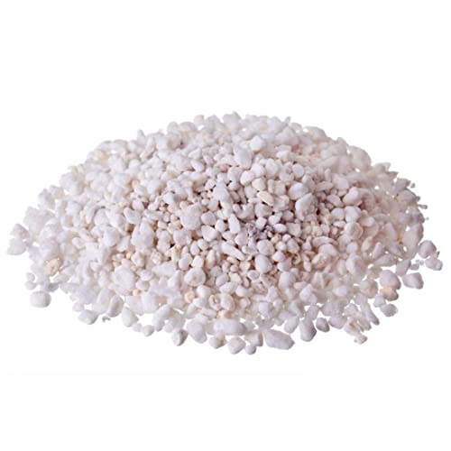 Perlita Expandida Substrato P/Jardinagem Plantas Pacote 3L