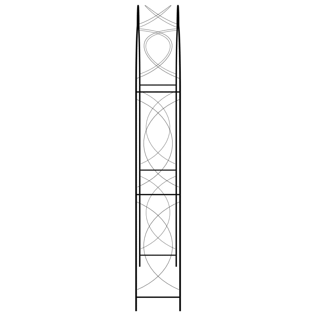 vidaXL Voûte de Jardin Noir 150x34x240 cm Fer