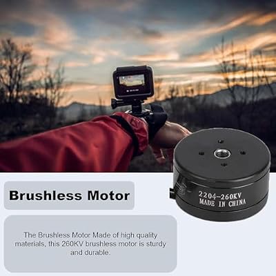 Drones Brushless Motor, Outdoor 260KV, 80t 1 for 3A Hollow Shaft Brushless Motor Drones, Low Noise and Low Power Consumption, for RC Drones, Camera((2204)) (1pcs)
