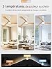 ZMISHIBO Ventilateur de Plafond avec Lumière et Télécommande, Ø132 cm, Moteur DC Silencieux, 6 Vitesses, 3 Températures de Couleur LED (3000K/4000K/6000K), Modes Été/Hiver, Minuterie 1/4/8h ABS