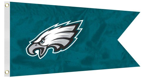 NFL Philadelphia Eagles Boat/Golf Cart Flag