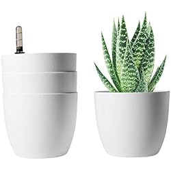 Macetas De Interior En Leroy Merlin T4u Auto Riego Plantador Blanco 15CM Ronda Paquete de 4, Planta Maceta Cajas para Interiores Al Aire Libre Jardines de Windowsill Idea Regalo para Cumpleaños y Boda y Navidad