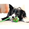 Whipper Snapper Launcher Dog Toy