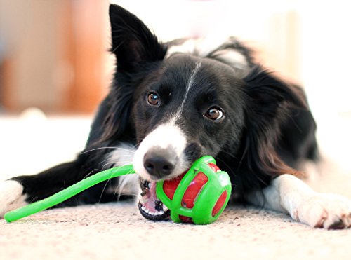 Whipper Snapper Launcher Dog Toy