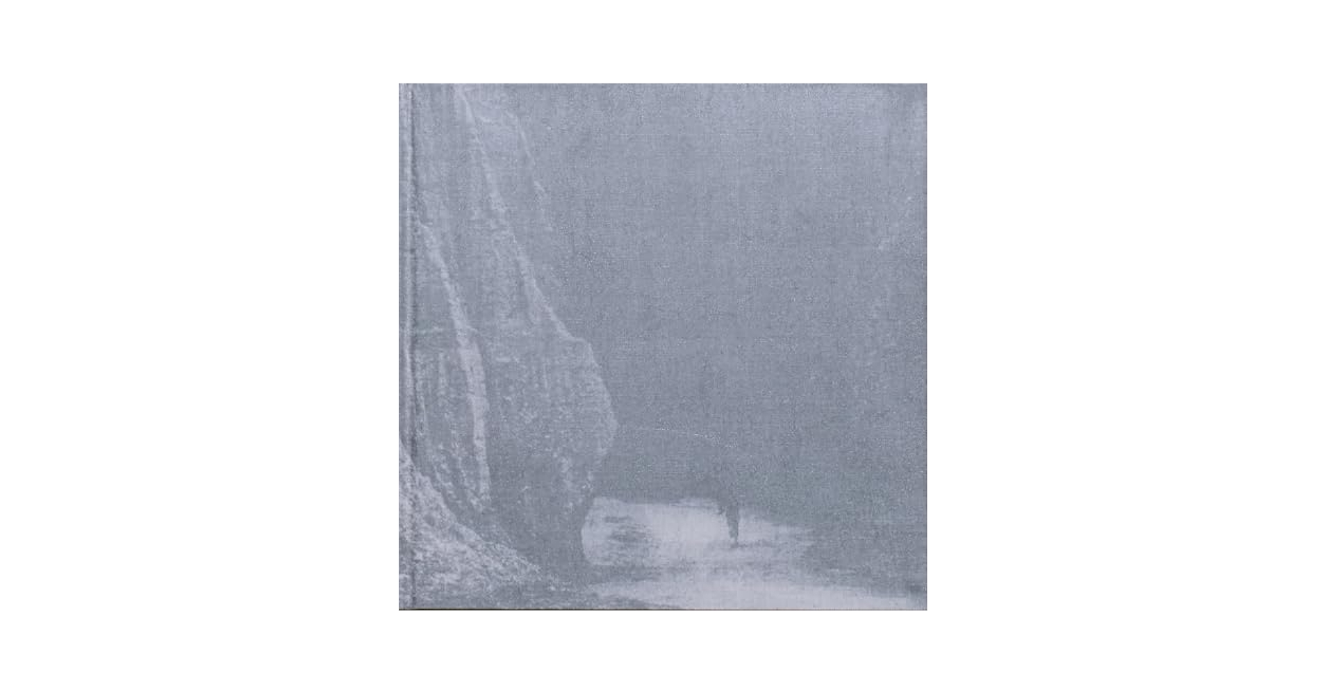 Amazon.co.jp: Untitled : 柳沢信: 本