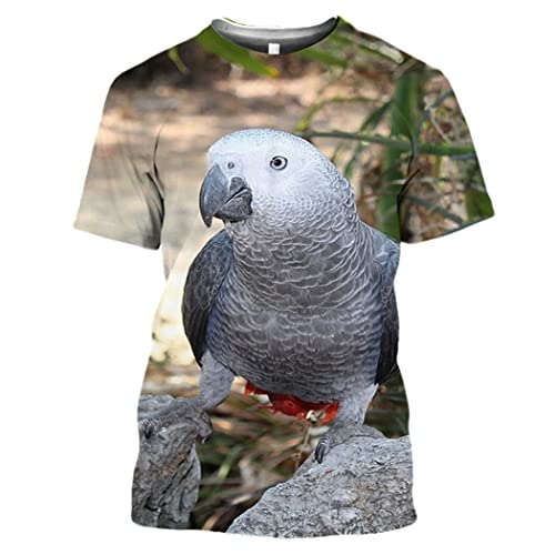T-shirt oiseau perroquet gris look Harajuku pour vos sorties décontractées
