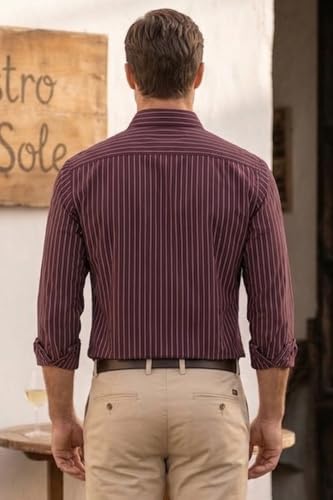 Image of Louis Philippe Men's Slim Fit Signature Oxford Easy Care, Natural Stretch Full Sleeve Stripe Casual Shirt