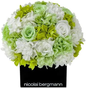 Amazon Co Jp ニコライバーグマン Nicolai Bergmann テンダーグリーン プリザーブドフラワー 小サイズ キューブアレンジメント 枯れない花 ブリザーブドフラワー 花 ギフト 贈り物 プレゼント Diy 工具 ガーデン
