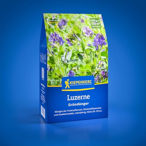 Kiepenkerl Luzerne 1081000 - Hochwertige Luzernesamen für Gründünger und als Futterpflanze - circa 50-70cm hoch - Gründünger Bodenlockerung Bodenverbesserer