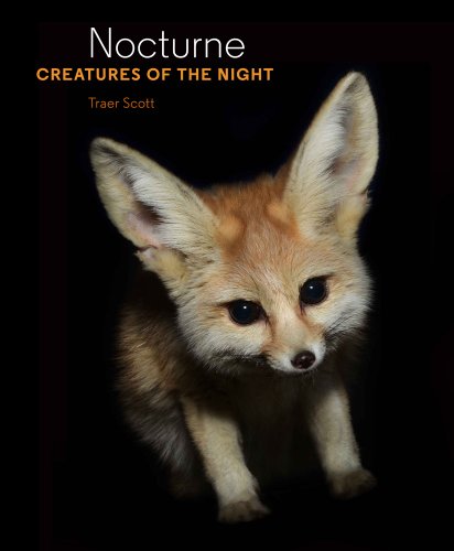 Nocturne: Creatures of the Night