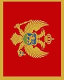 Flag of Montenegro Notebook: College Ruled Writer's Notebook for School, the Office, or Home! (8 x 10 inches, 120 pages)