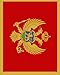 Flag of Montenegro Notebook: College Ruled Writer's Notebook for School, the Office, or Home! (8 x 10 inches, 120 pages)