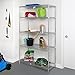 Honey-Can-Do SHF-01441 Adjustable Storage Shelving Unit, 800-Pounds Per Shelf, Chrome, 5-Tier, 42Lx18Wx72H