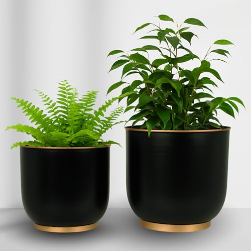 Image of Metal Planters Set of 2 Black (28 cm & 23 cm) with Drain Hole | Large Indoor Plant Pots for Living Room Balcony Office | Modern Decorative Metal Planters for Home Decor