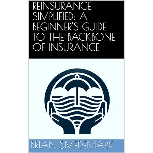 REINSURANCE SIMPLIFIED: A BEGINNER'S GUIDE TO THE BACKBONE OF INSURANCE by Brian Smedemark episode artwork