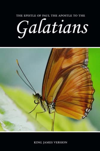 Galatians (Kjv) (Sunlight Bibles Complete Set Of Individual Bible Books) #TOP10