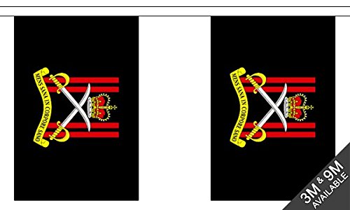 Flagtex Army Physical Training Corps Fabric Bunting – 3m with 10 Flags – Fabric for Indoor & Outdoor Use – String Flags Banners APTC British Army Fitness — image 1