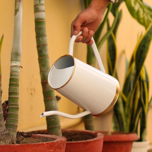Image of Watering Can for Plants | Metal Watering Can with Long Spout | Flower Watering Pot for Home Gardening | Terrace Garden Accessories | Garden Water Can for Indoor (White) 1.5 Litre