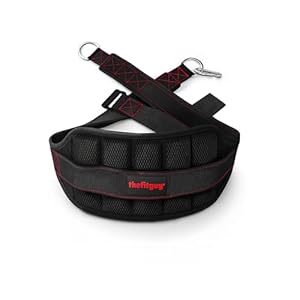 Ultimate Belt for Belt Squats, Rack Attachment and Squat Machine, Structured Back Support, Stays Low During Down Movement, Padded Hip & Thigh Area, Buckle Strap – No Sliding Down, Heavy Duty