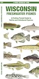 Wisconsin Freshwater Fishes: A Folding Pocket Guide to Native and Introduced Species (Nature Observation North America)