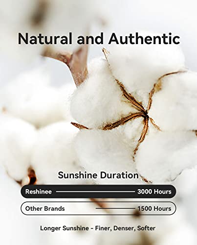 Reshinee Organic Cotton Women's Underwear Breathable Full Briefs Soft Panties Comfort Underpants Ladies Panties 4 Pack #TOP3