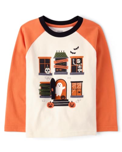 Image of Gymboree Boys and Toddler Embroidered Graphic Long Sleeve Layered T-Shirts