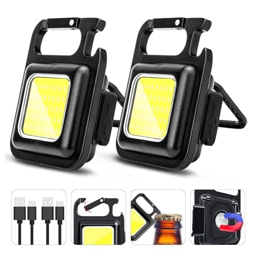 41S6gDBGcXL._SS520_ Best purse light led