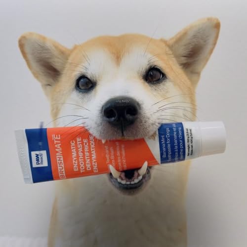 Image of Enzymatic Toothpaste for Dogs Banana Mint by Paw Ready|Cleans Teeth and Freshens Breath|Safe for Puppies, Clinical Care (3.5oz)