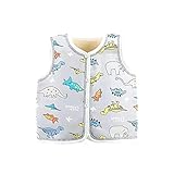 Vagefun Toddler Baby Boy Girl Vest Little Kids Sleeveless Jacket Outerwear Infant Dinosaur Fleece Wa