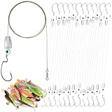 JolliLudo 4 Pack Texas Rigs Kit for Bass Fishing, Pre-Rigged Weedless Bass Rigs with 5 Sizes Weights (3.5g/5g/7g/10g/14g) & Hooks, Includes 4 Packs of 2.5 Inch T-Tail Soft Lures, Fishing Accessories