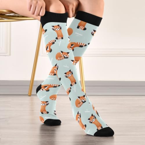 Image of Compression Socks for Women & Men Knee High Socks | Circulation, Medical, Running, Athletic, Nurse, Travel, 1 Pair