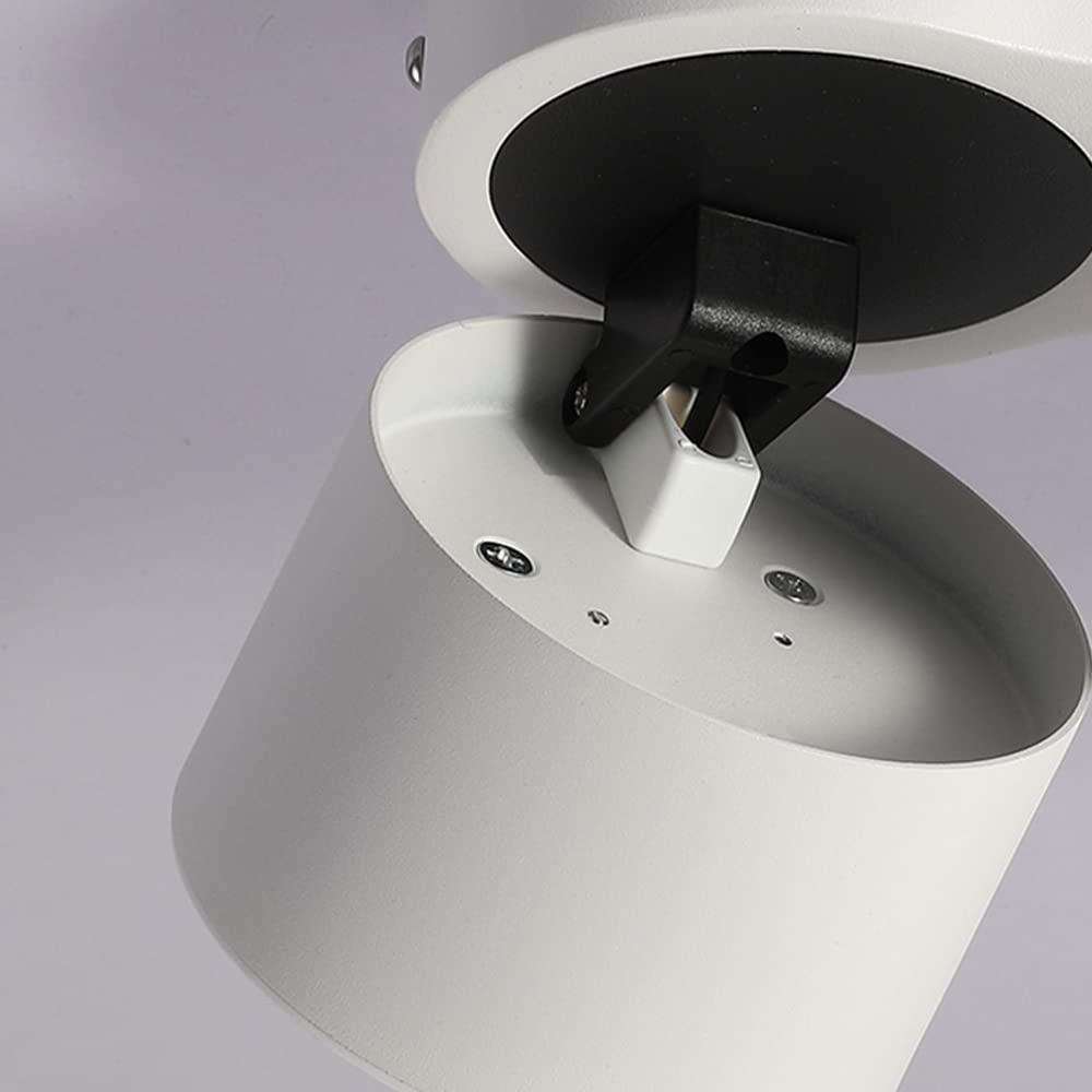SKYGOO Foco de techo LED de 30 W, lámpara de luz de pasillo ajustable, luz de sala de estar de baño, foco de montaje en superficie de tres cabezas, luz de pasillo de dormitorio, luces de centro comerc