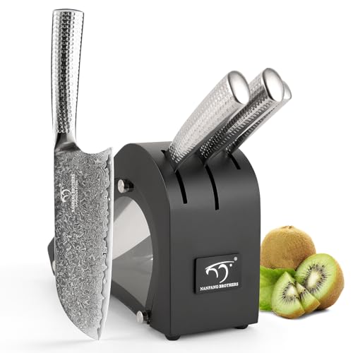 Damascus Kitchen Knife Set with Block, 4 Pieces Knife Block Set with Hammered Patterns Ergonomic Handles, 67 Layer Handmade Damascus VG10 Steel Core NF-D0519T-4B