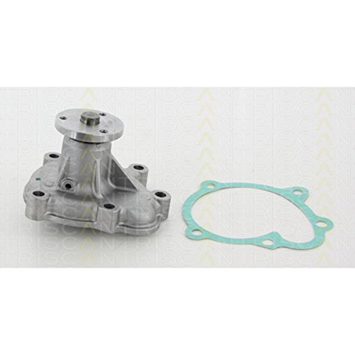 Triscan 8600 24054 - Pompa Acqua