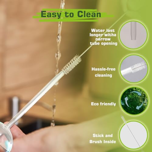 Self watering globes  - image 6