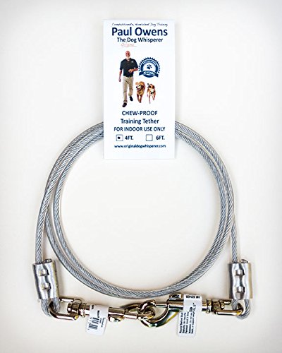 AngelpetPaul Owens Chew-Proof Training Tether for Dogs & Puppies