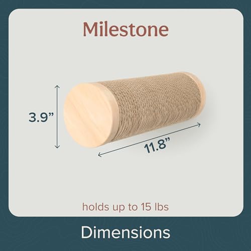 Image of Wall-Mounted Cat Perch & Scratching Post (Modern Cat Wall Furniture) - Milestone | FurHaven Ascentials