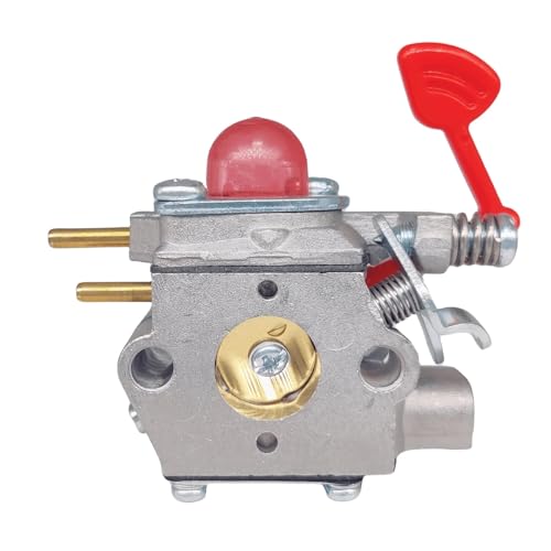 Carburateur WT875A pour réparer le démarrage difficile du PPB430VS