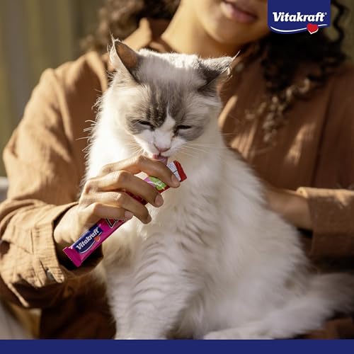 Vitakraft Liquid Snack, Katzen Leckerli, Katzensnack cremig, mit Huhn und Taurin, in einzelnen Sachets, unterstützt die Augen und das Herz (1 Paket mit 6x 15g)