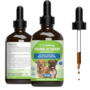 Pet Wellbeing Young at Heart for Dogs & Cats – Heart Health, Circulatory & Cardiovascular System, Hawthorn, Motherwort, Schisandra – Veterinarian-Formulated Herbal Supplement 4 oz (118 ml)